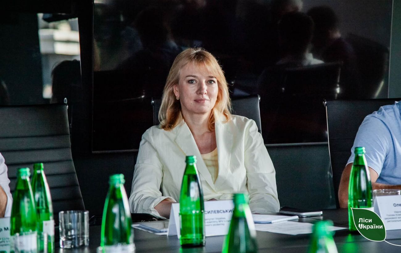 У Раді заявили про затягування рішення щодо "українського поясу безпеки"